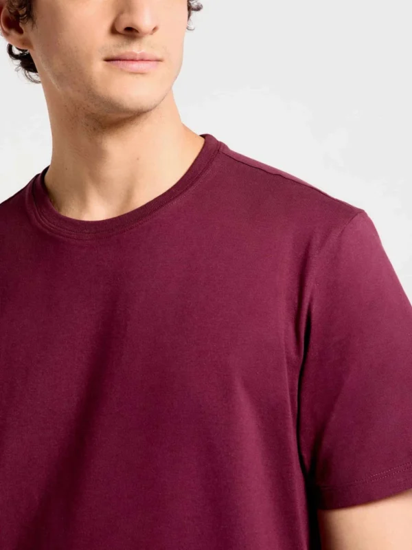 0227RWXEN-03 REMERA BASICA ALGODON CABALLERO LILA HERING